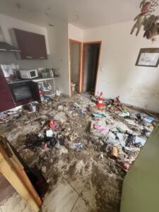 Nettoyage de logement insalubre (syndrome de diogène)